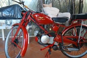 moto guzzi 65 
