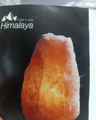 lampada sale Himalaya 