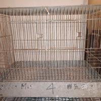 gabbia da 35 cm
