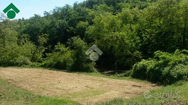 TER. AGRICOLO A TEOLO