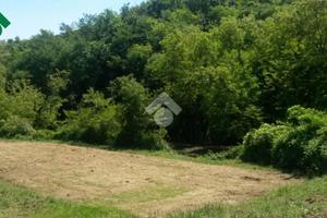 TER. AGRICOLO A TEOLO