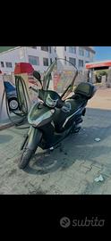Sh 300 sport