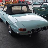 ALFA ROMEO Spider - GT Junior 1.3 osso di seppia