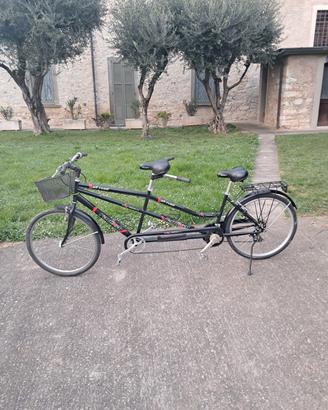 Tandem  radikal