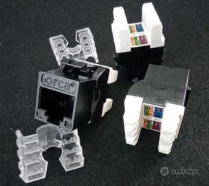 Confezione da 12 Presa RJ45 ORCA