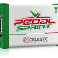 centralina BMW E46 pedal sprint celeste