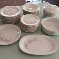Servizio piatti 40 pz porcellana Tognana  occasion