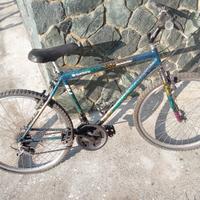 Bicicletta MTB Mountain Bike