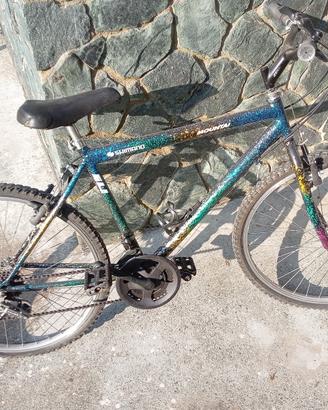 Bicicletta MTB Mountain Bike