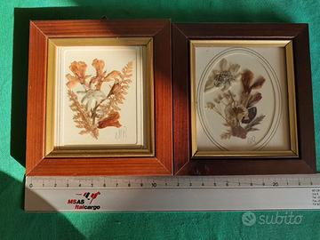 Quadri piante e fiori secchi composto da 3 pezzi.