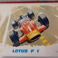 Kit Heller Lotus Ford F1 scala 1/24