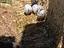 Immagine 2