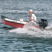 Fuoribordo Tohatsu 9.9cv Mega