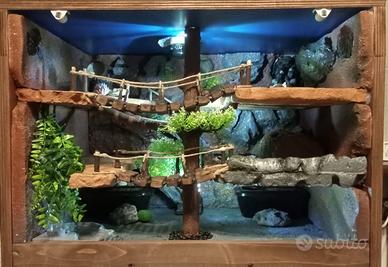 Teca Naturalistica a 3 piani per gechi leopardini