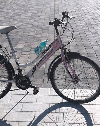 bicicletta