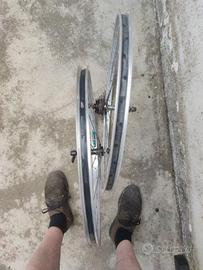 cerchioni bici