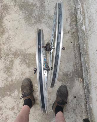 cerchioni bici