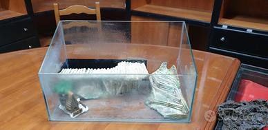teca in vetro per animali 