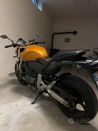 Honda Hornet
