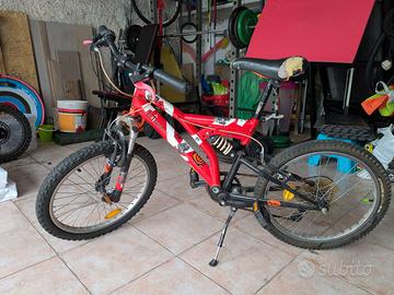 Mountain bike 20'