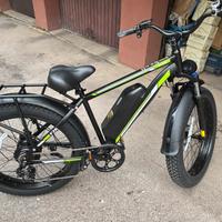 Bici elettrica