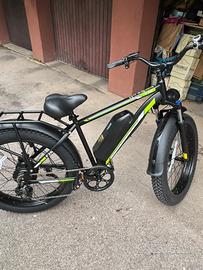 Bici elettrica