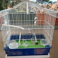 Gabbia uccelli + supporto con rotelle 