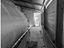 Immagine 27