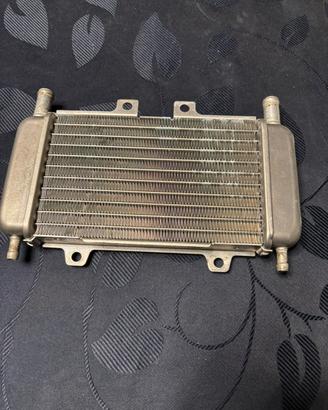 Radiatore Piaggio NRG Power