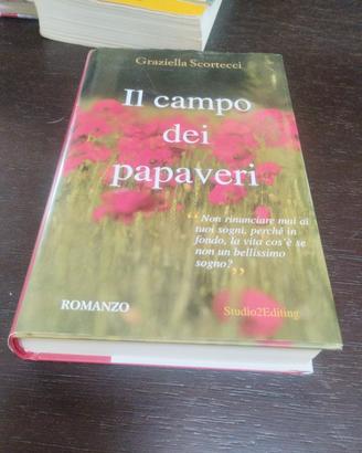 il campo di papaveri 