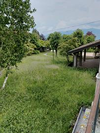 Giardiniere /arboricoltore