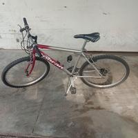 Bicicletta mountain bike