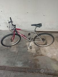 Bicicletta mountain bike