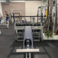 Panca inclinata 45 grandi con bilancere Technogym