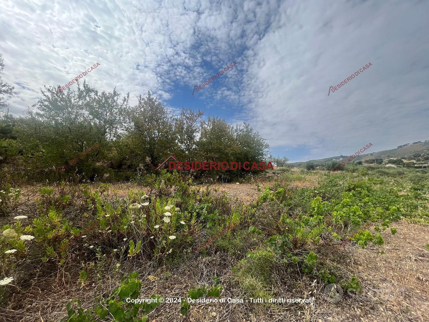 Terreno, Casteldaccia. - Vista 4