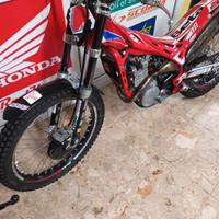 BETA EVO 300 4T