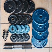 Mestre, Dischi in ghisa, manubri e morsetti