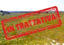 ter-agricolo-a-sava