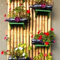 Canne di bambu -bambù - lunghezze personalizzate