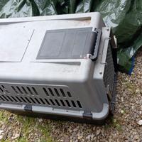 Trasportino farplast