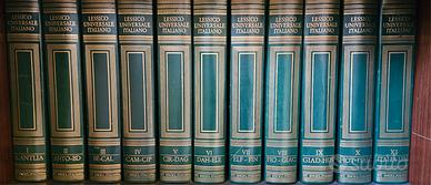 Enciclopedia Treccani 27 volumi 