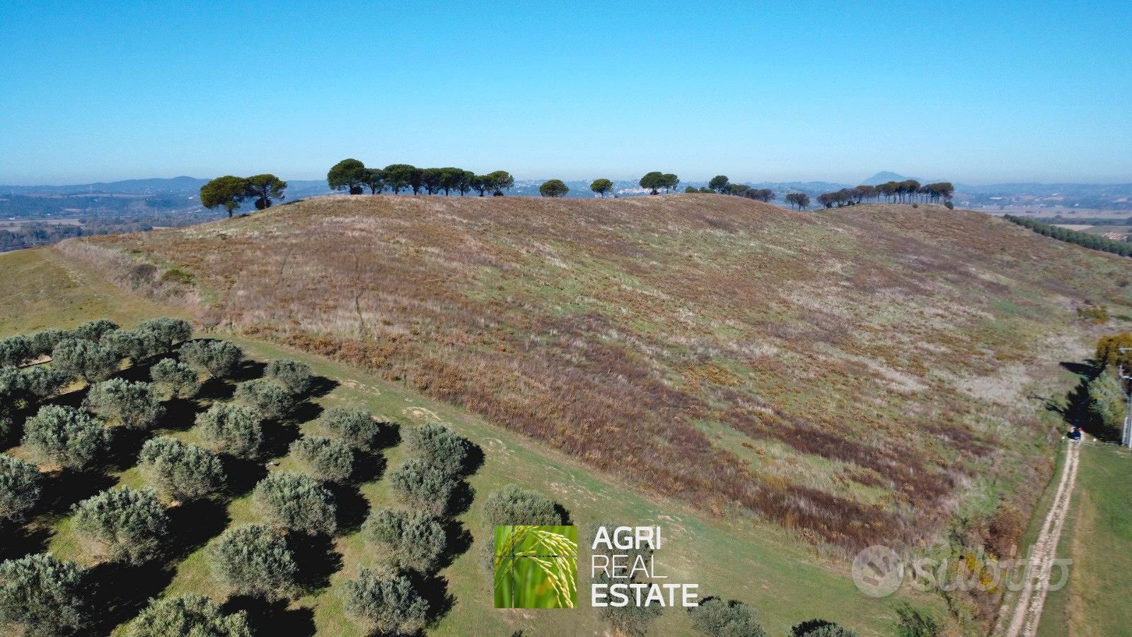 Terreno agricolo collinare di 10 ettari - Vista 2