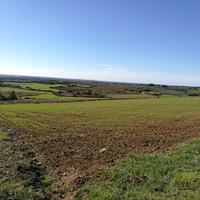 Terreno edificabile - Narbolia