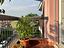 Immagine 7