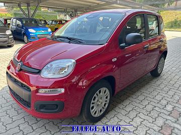 FIAT Panda 1.0 HYBRID 5 POSTI +PACK ICON KM 0