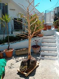 Oggetto vintage per arredamento locali a tema 