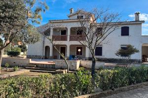 Sardegna, S.Giovanni di Posada casa sulla pineta