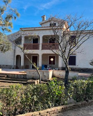Sardegna, S.Giovanni di Posada casa sulla pineta