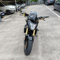 Honda Hornet 600 (2009)