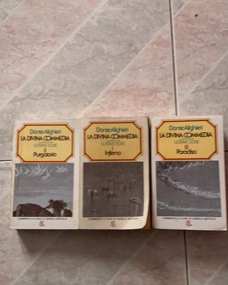 Tre libri la divina commedia